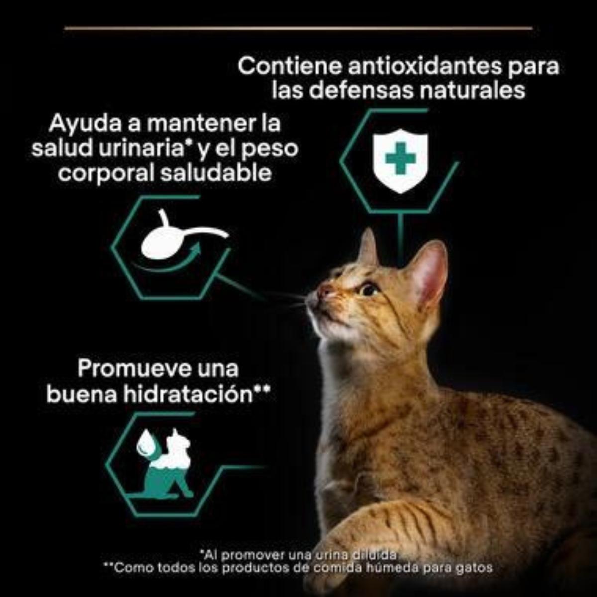 Pro Plan Gato Adulto Esterilizado Manutenção com Frango e Carne em Molho Purina Saqueta 10x85g