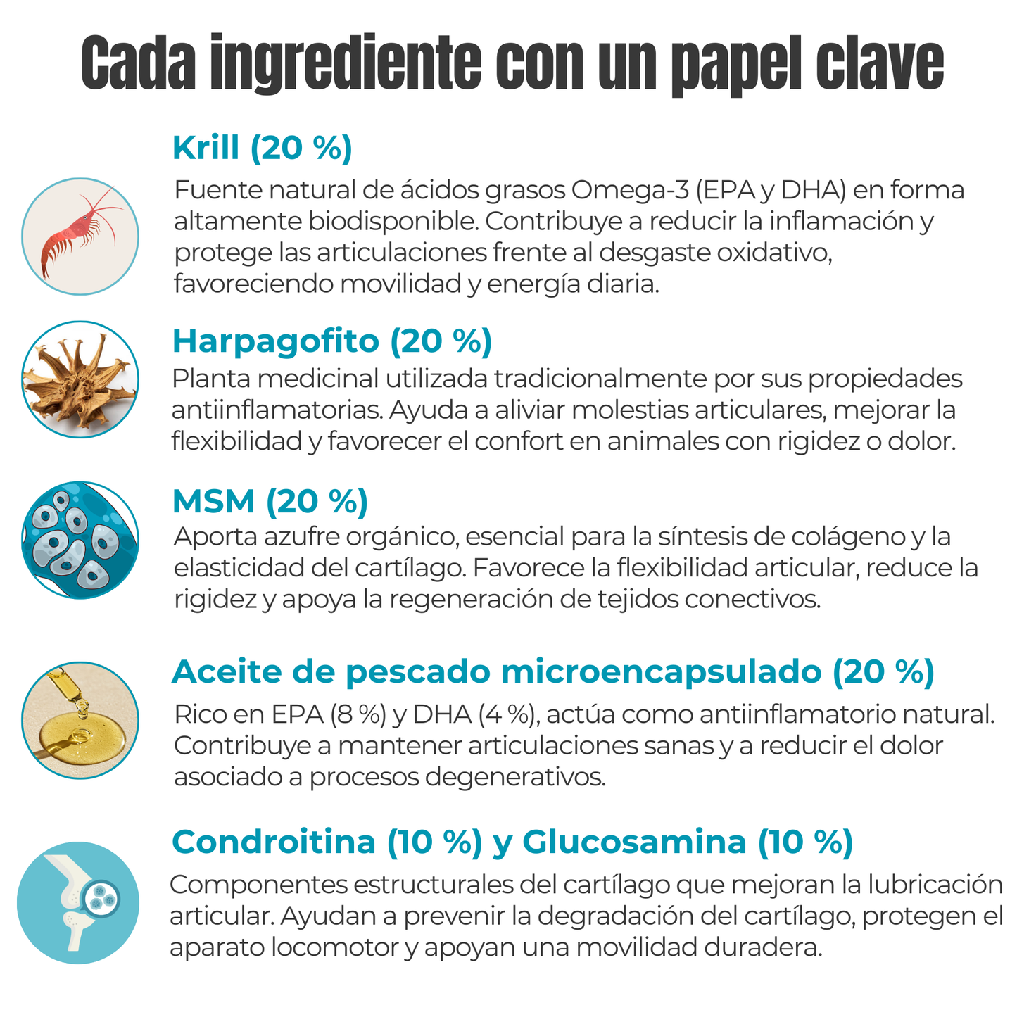 Suplemento natural para perros y gatos – Condroprotector Movilidad & Articulaciones ECO 100 g