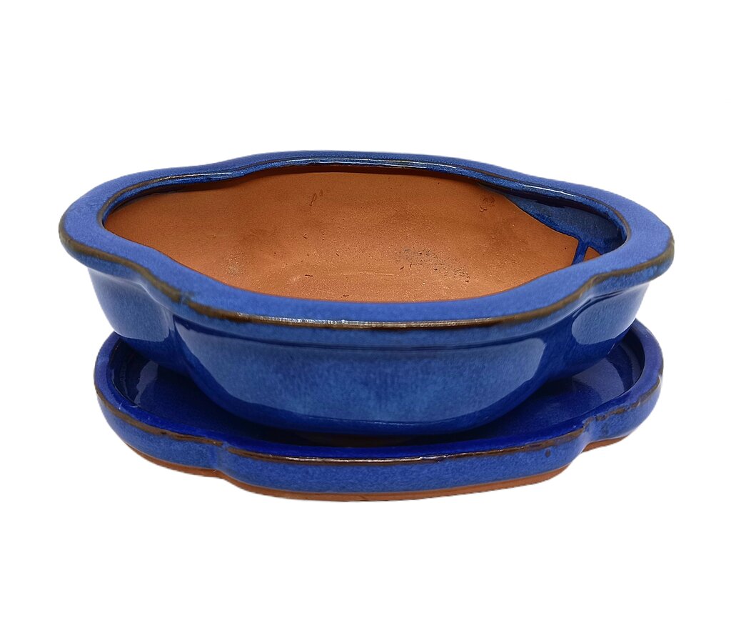 Tiesto Olea Azul 26x22x7cm_0