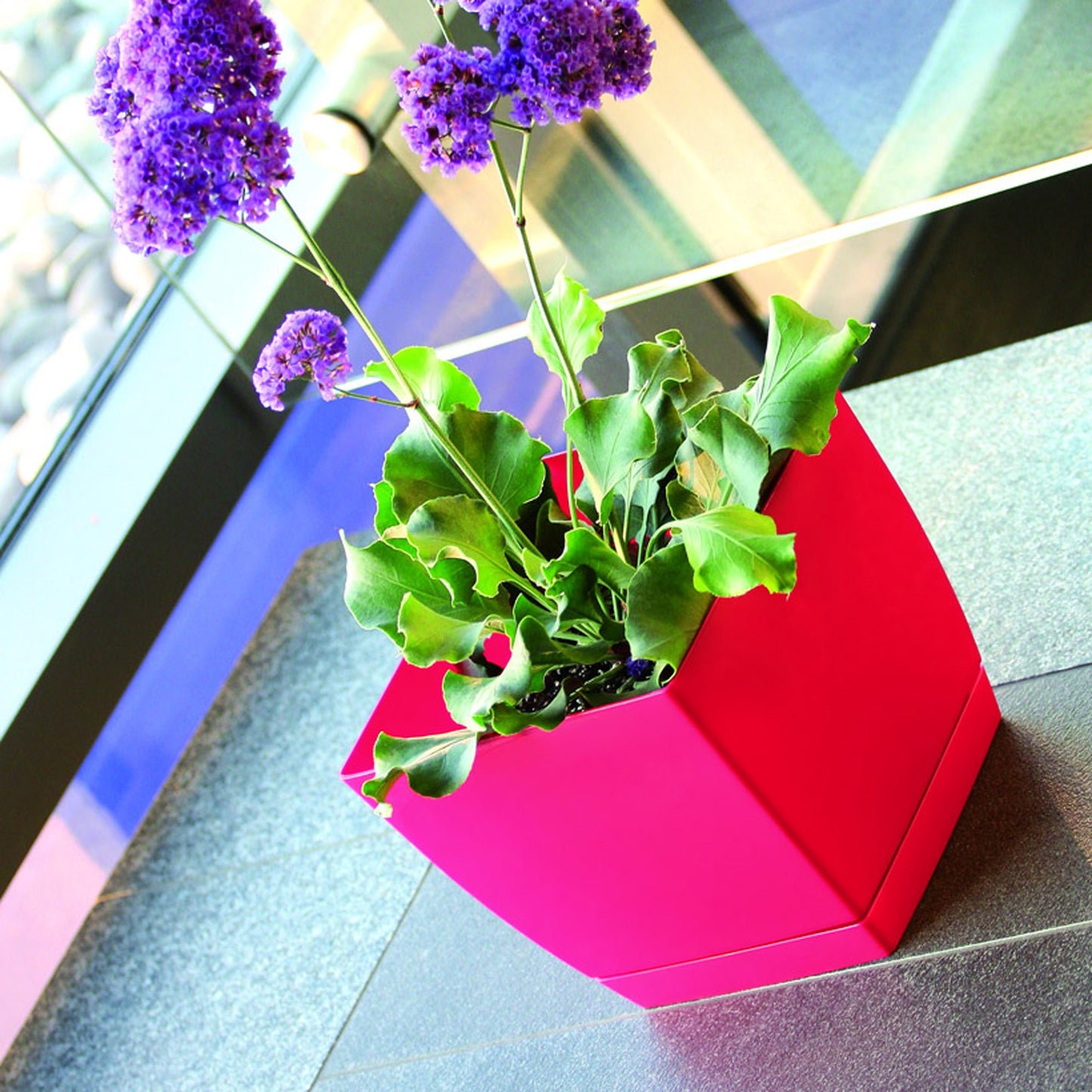 Maceta Mod. Begonya Fresh Quadro Con Plato Incluido 13,5cm. Blanco