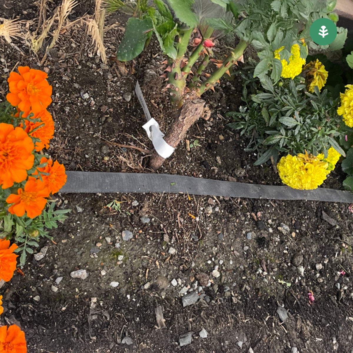 Rolo de exsudação Garden Planeta Huerto 25 m