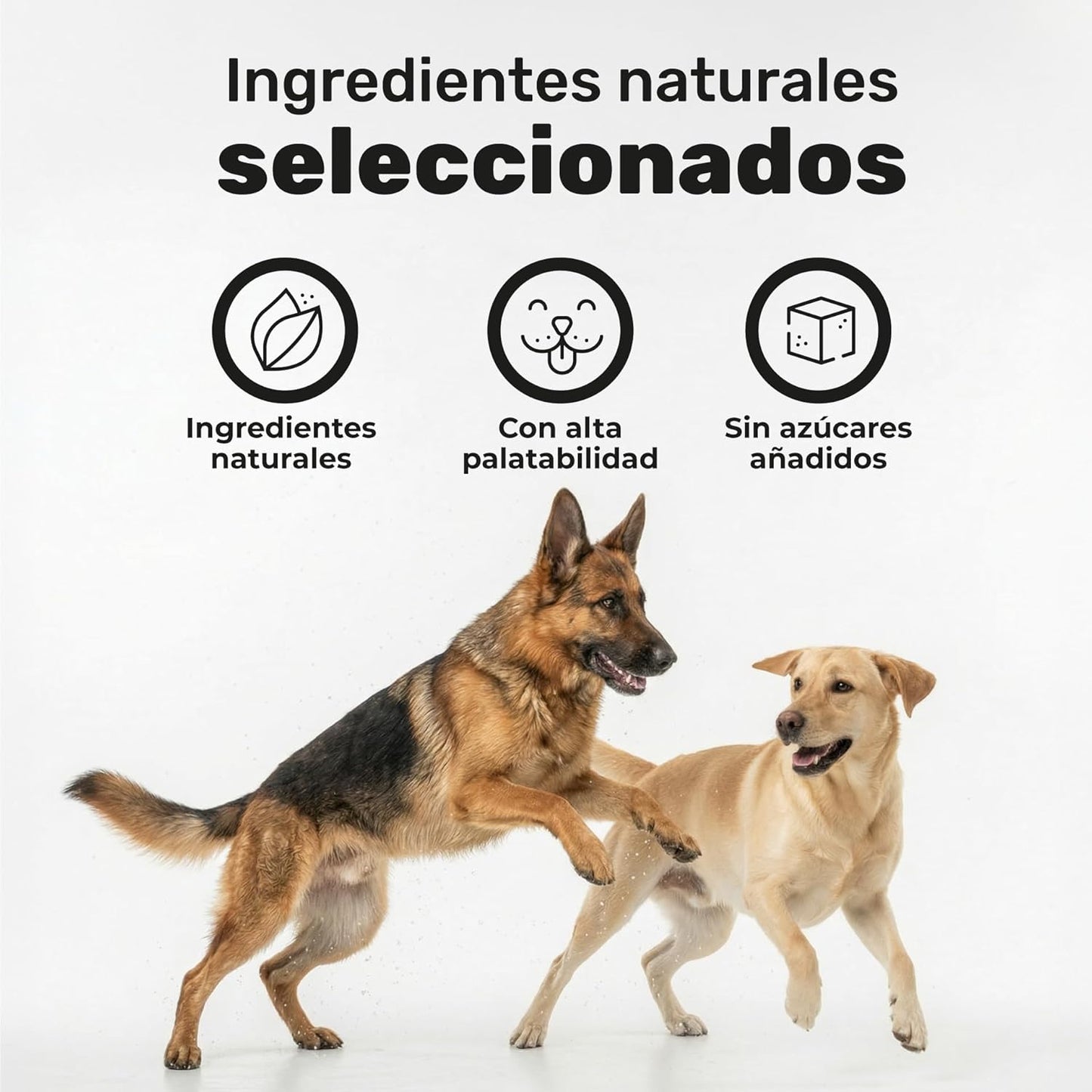 Aceite De Salmón Para Perros. Piel Y Pelo. Suplemento Para Mascotas. 120 Masticables. Natuva Pets_5