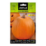 Sementes de abóbora de batalha de Halloween