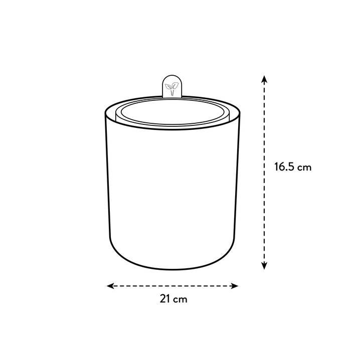 Bouncy Basil Elho Terra vaso aromático auto-irrigável