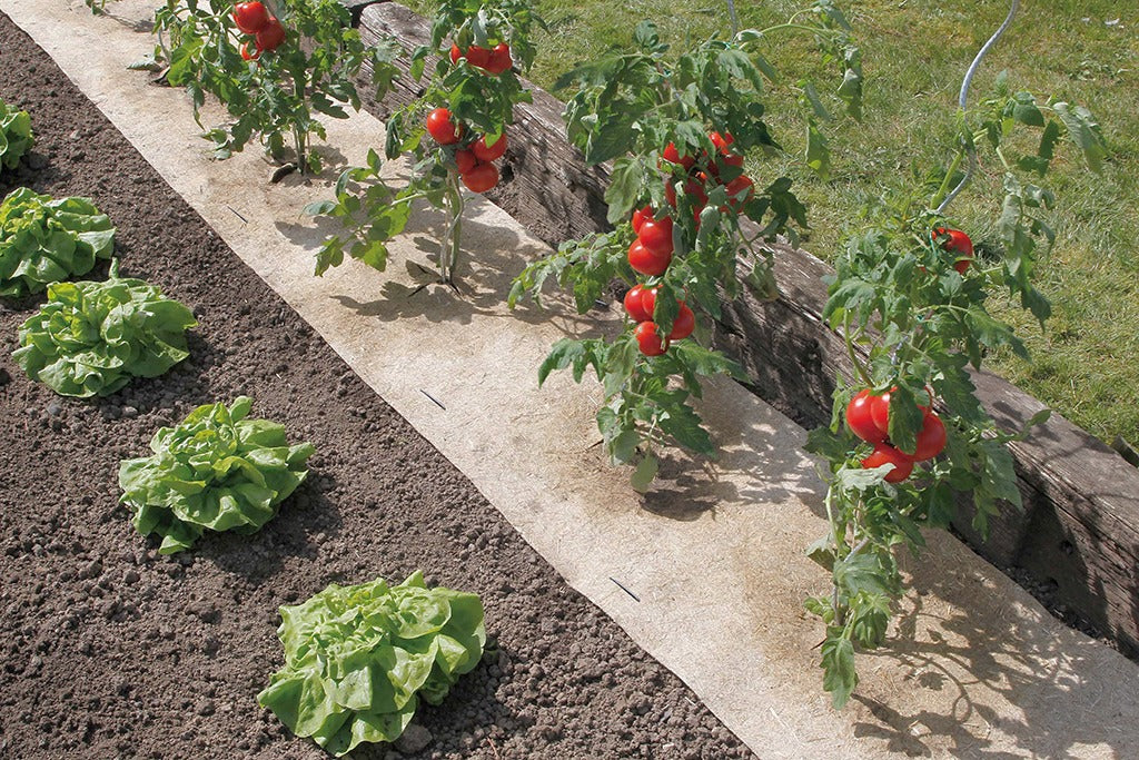 Cobertura vegetal natural anti-ervas daninhas Flaxhemp Nortene 0,5x3 m