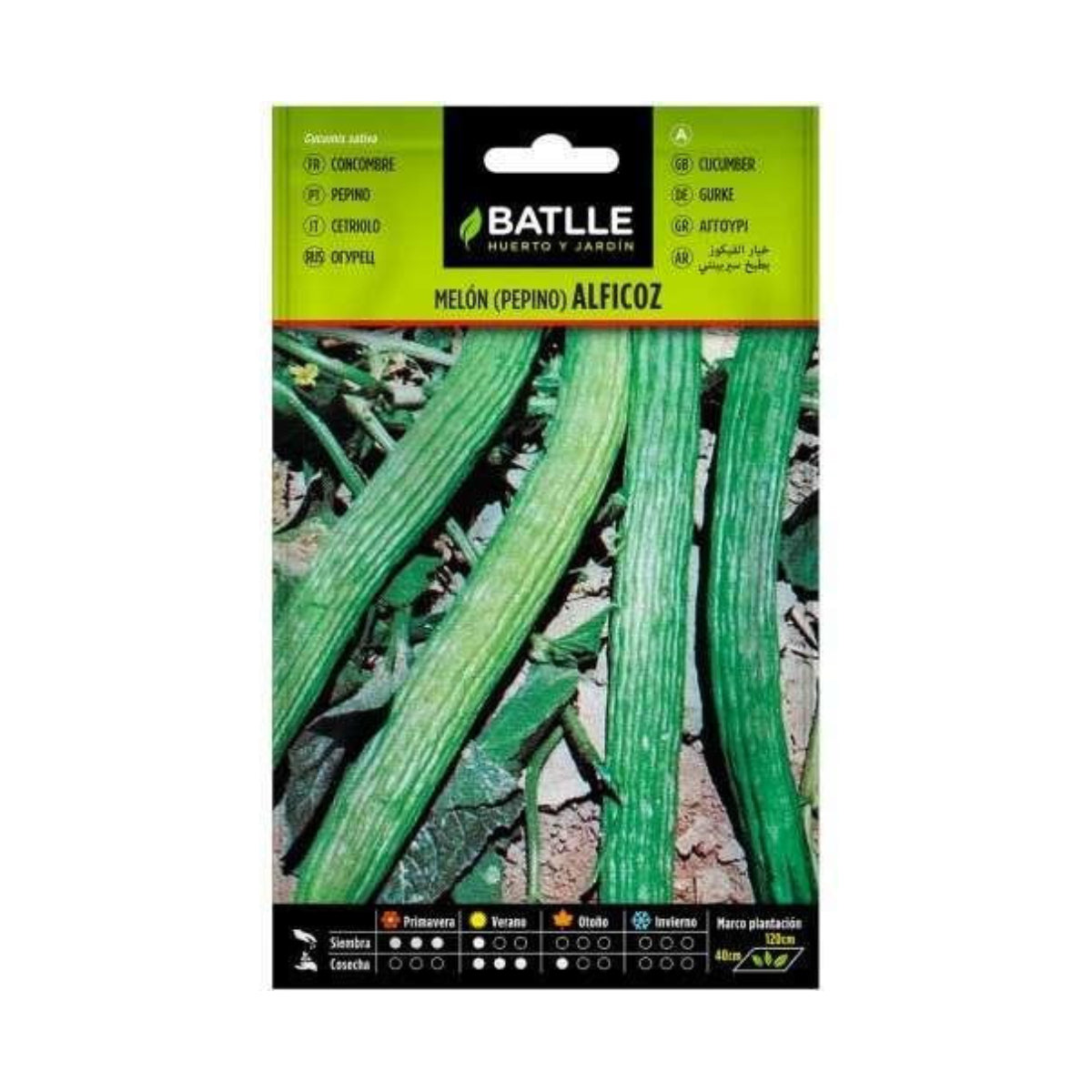 Sementes de Pepino Alficoz Batlle