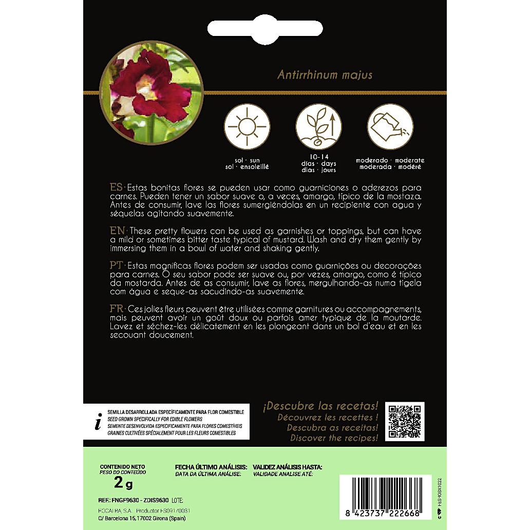 Sementes de flores comestíveis de Antirrhinum Snapdragon Rocalba