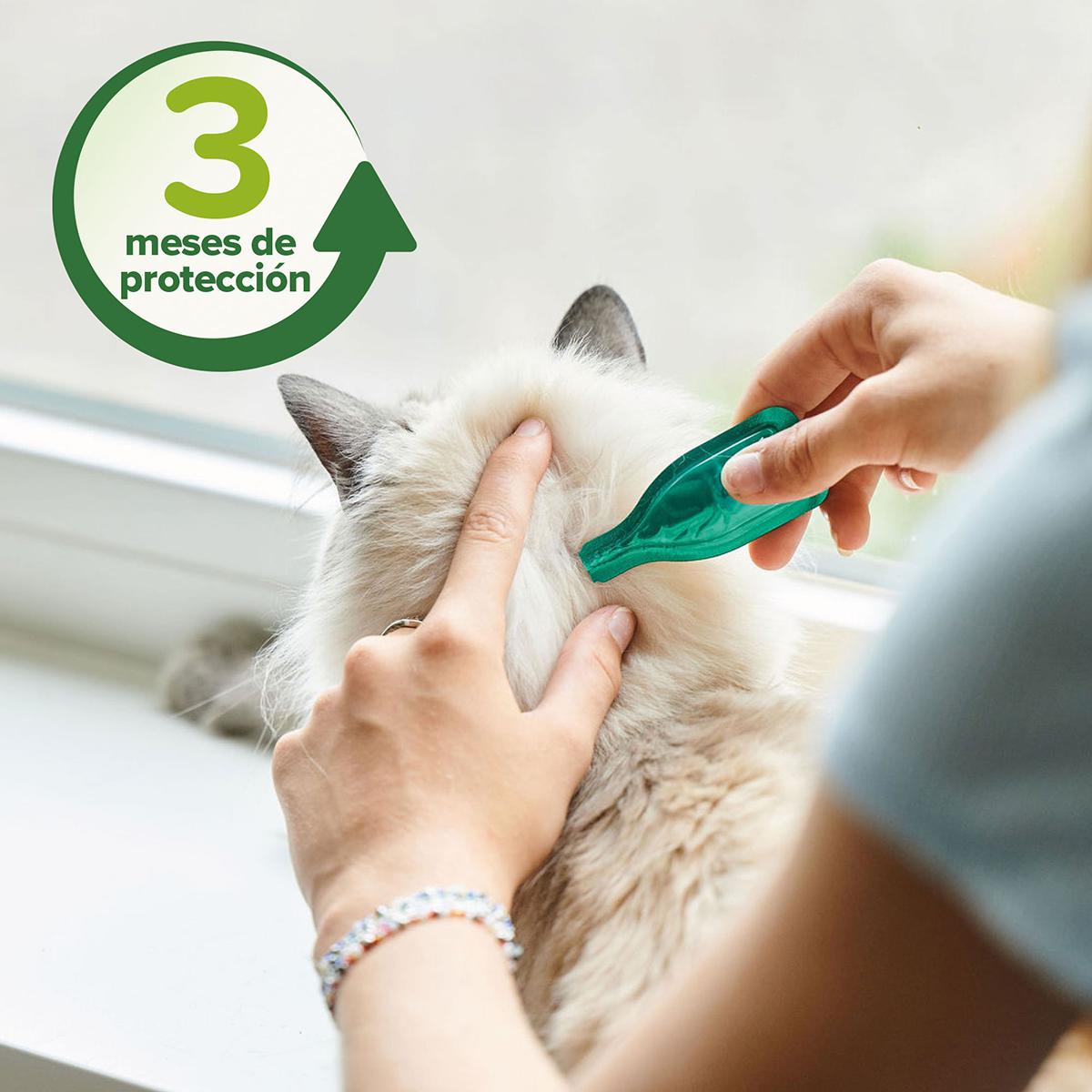 Pipetas repelentes antiparasitários naturais para gatos 3x1 ml