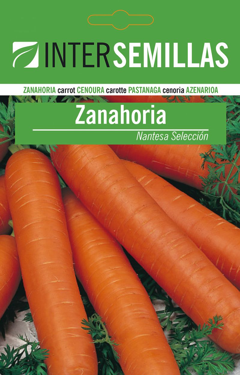 Sobre De Semillas De Zanahoria Nantesa_0