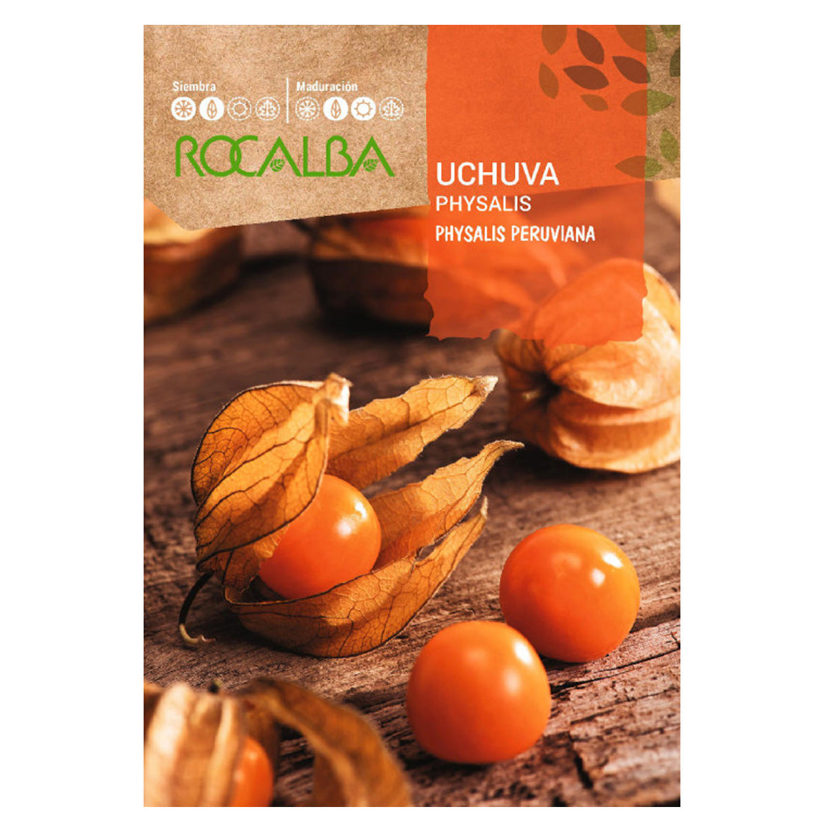 Physalis Uchuva, Sementes de Rocalba