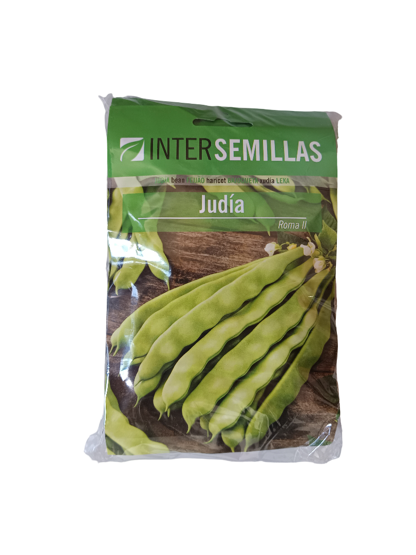 Semillas De Judia Roma Ii_0
