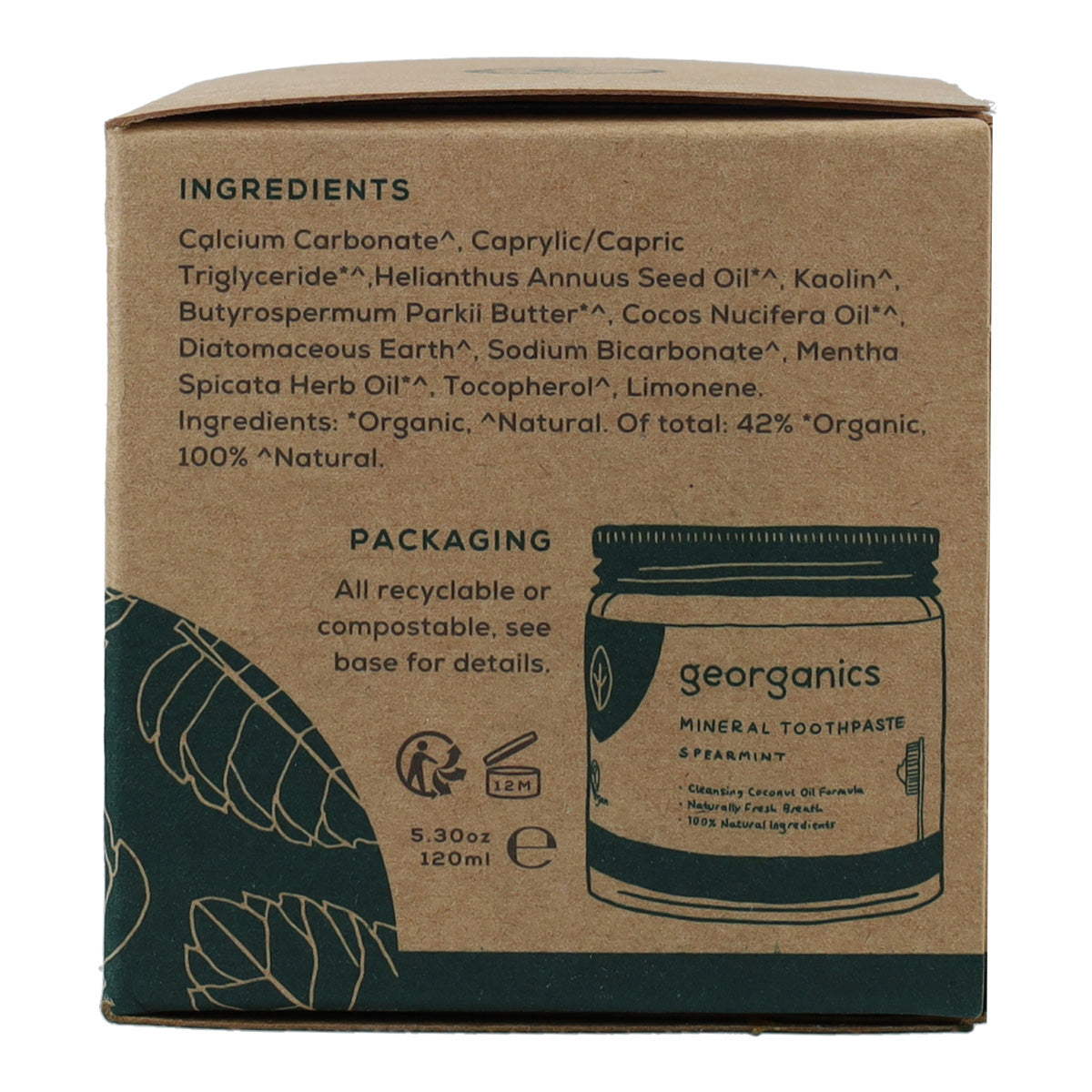 Pasta de dentes natural de hortelã-pimenta e coco Georganics 120 ml