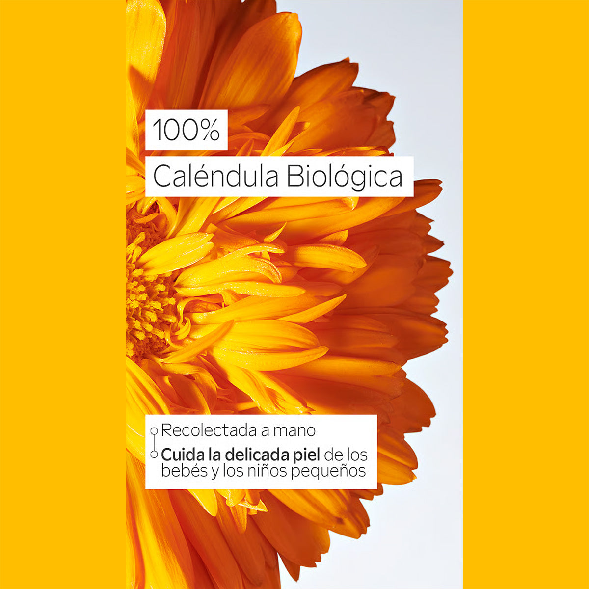 Óleo para Barriga de Bebé Weleda, 50ml