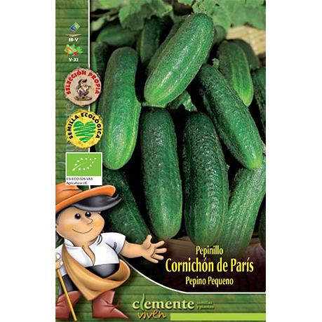Sementes de pepino Cornichon Clemente