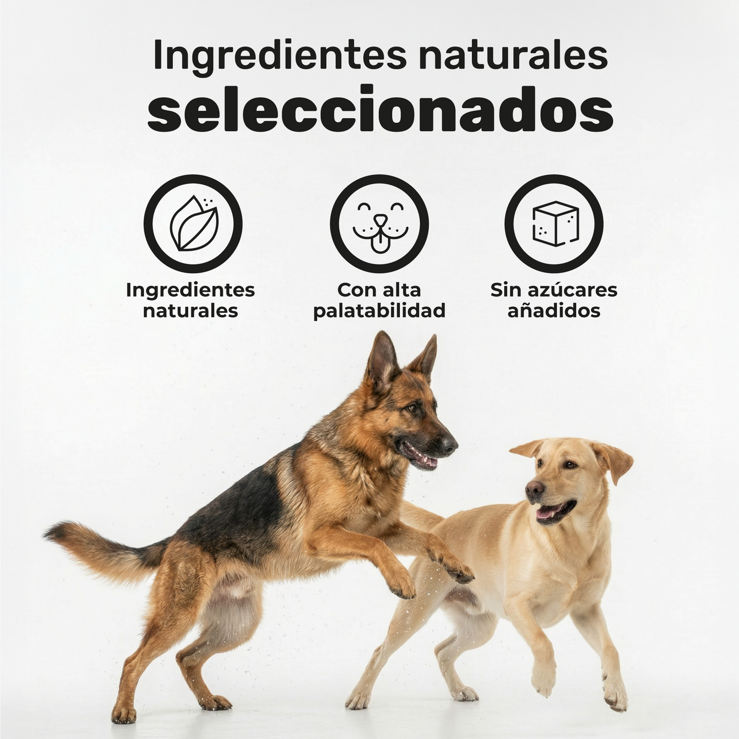Pack 2x Calmante Para Perros. Calma Diaria Y Bienestar. Suplementos Mascotas. 240 Masticables. Natuva Pets_5