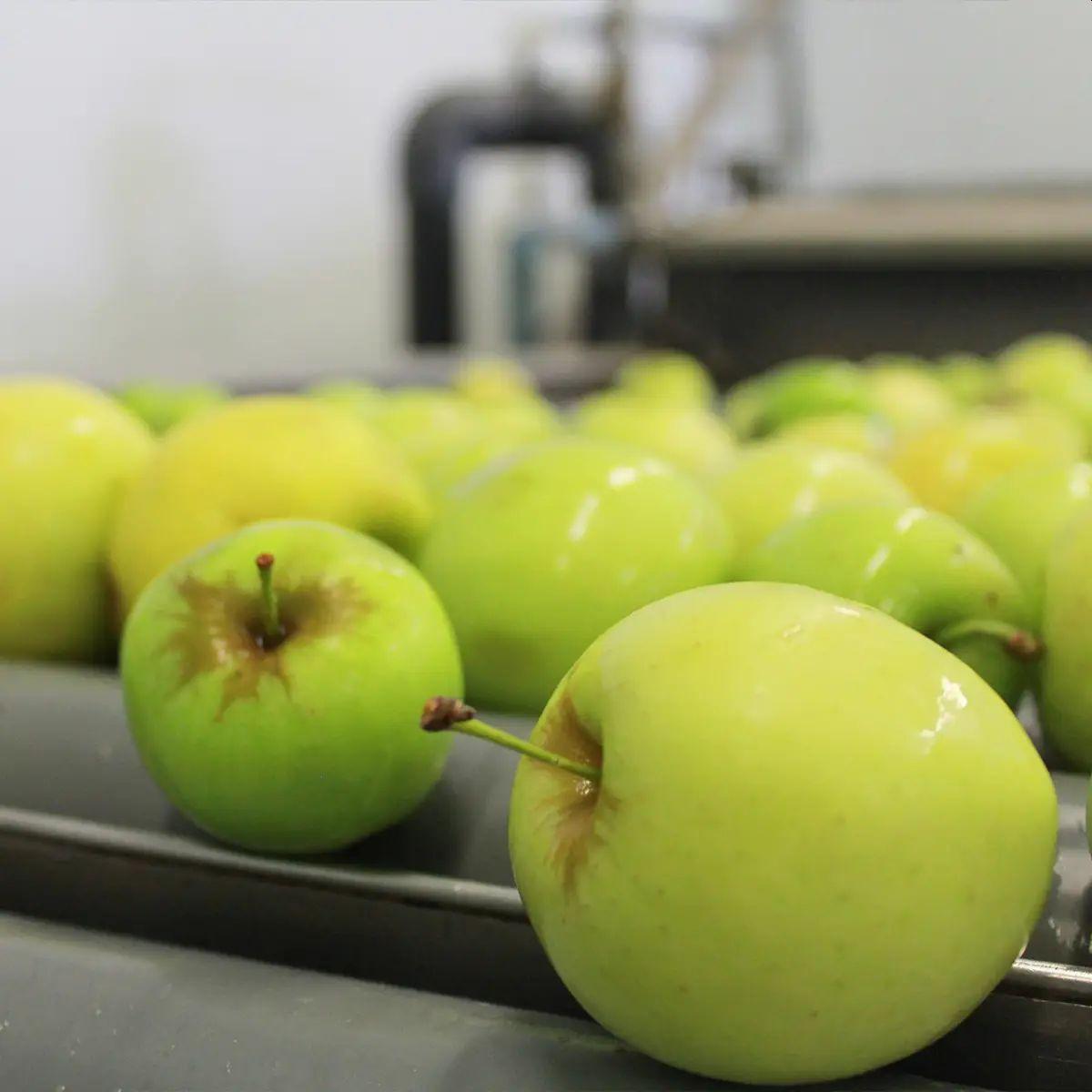 Elaborado com Maçã e Kiwi Biológicos sem adição de açúcar Ékolo 700 g