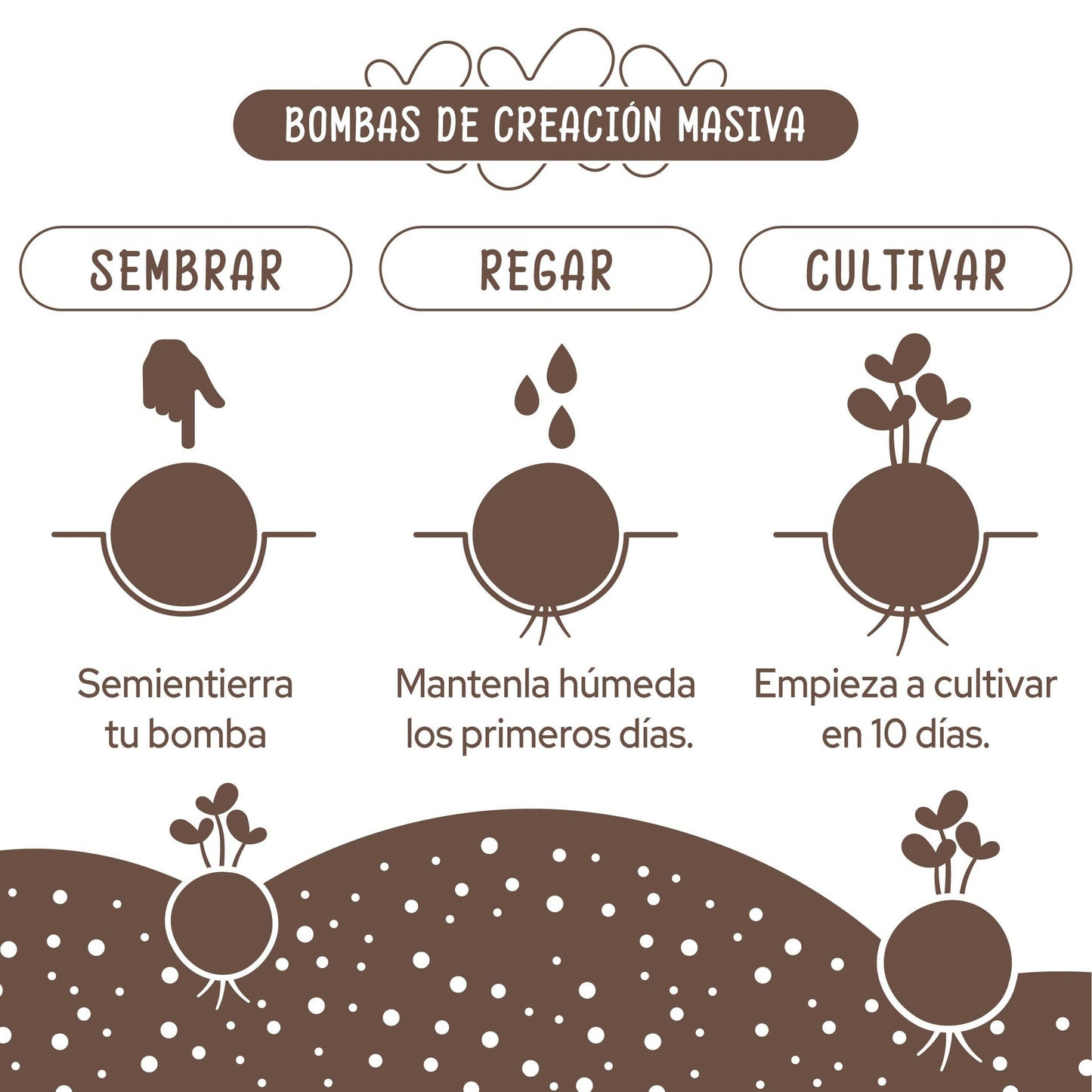 Bombas de sementes para jardim mediterrânico