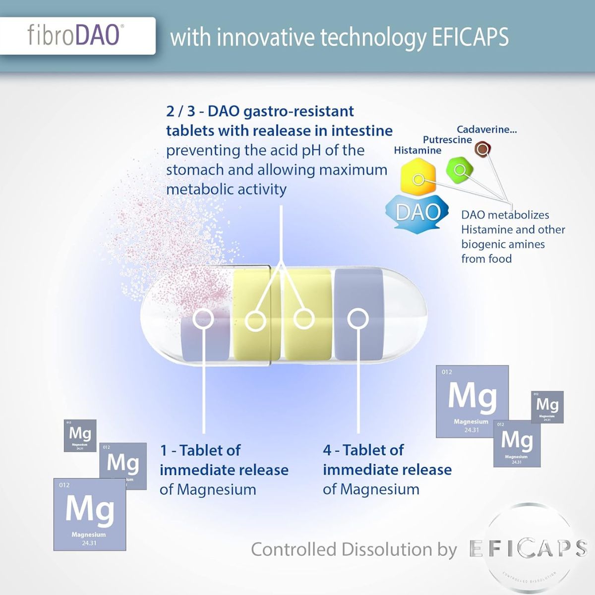fibroDAO® 60 cápsulas com comprimidos gastrorresistentes