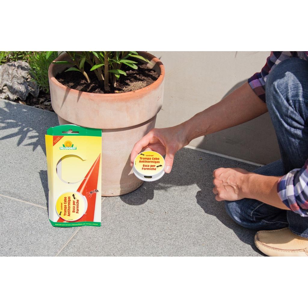 Neudorff Loxiran Isca Ecológica Armadilha Formigas 2 unidades