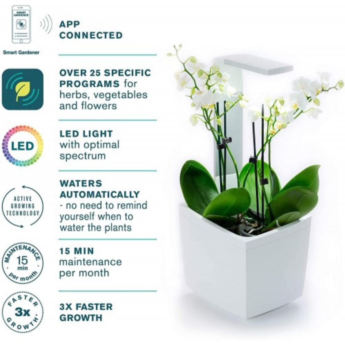 T3 Kitchen Garden Vaso autocultivante 20 x 17,5 cm