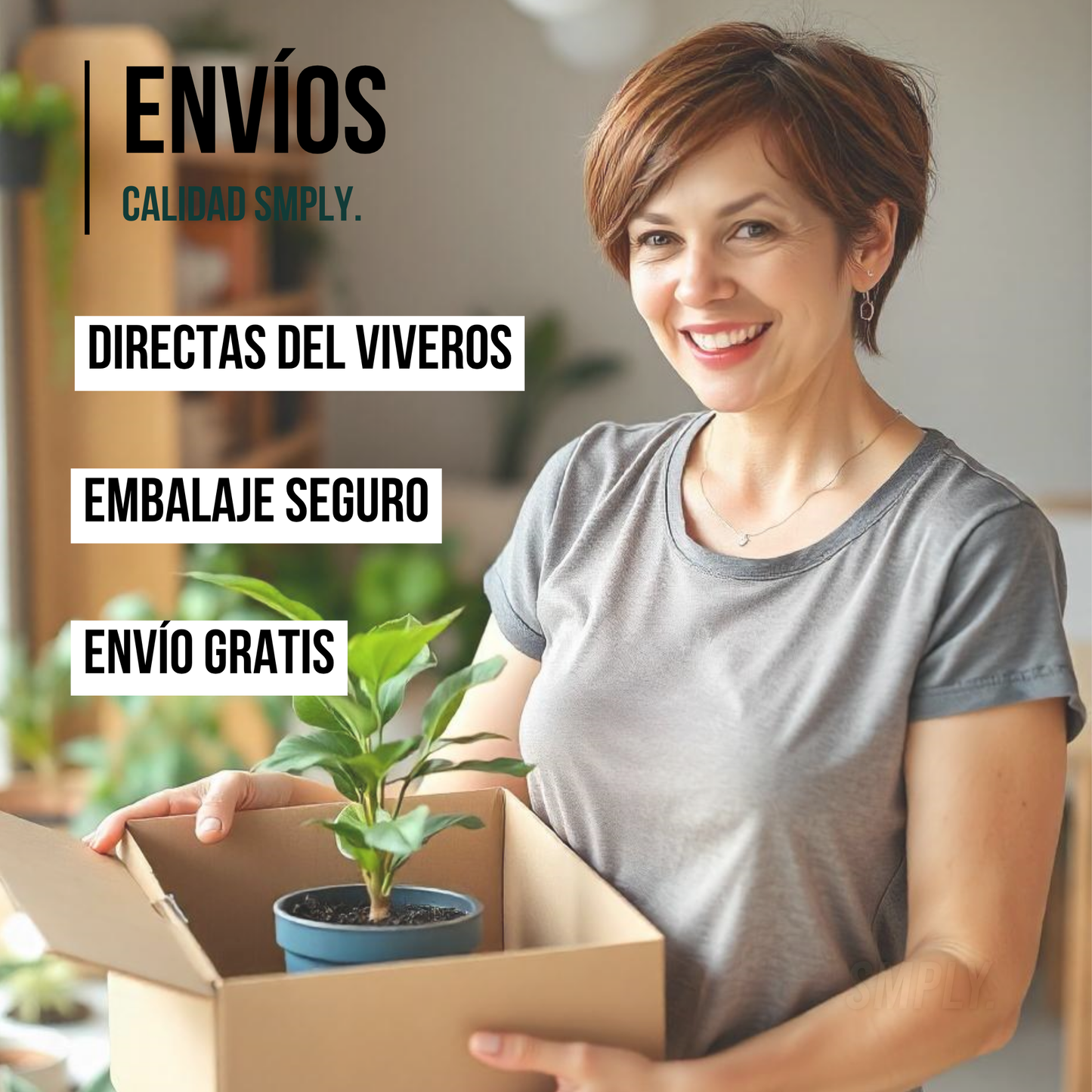 Pack 3 Plantas Naturales -filtro Natural De Aire : Croton + Dieffenbachia Camillia + Palmera Areca Ø12 Cm Alto 30-40 Cm_5