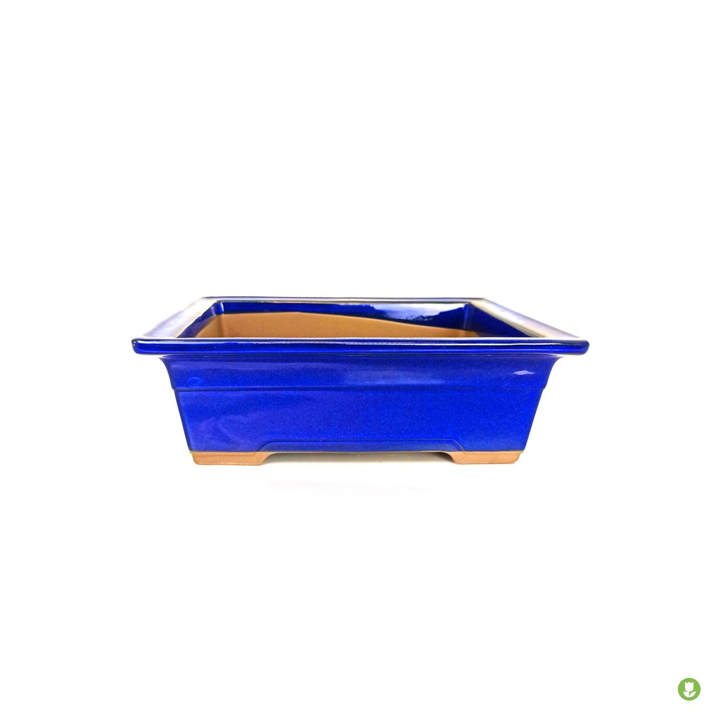 Base Bonsai Rectangular Azul 19cm_0