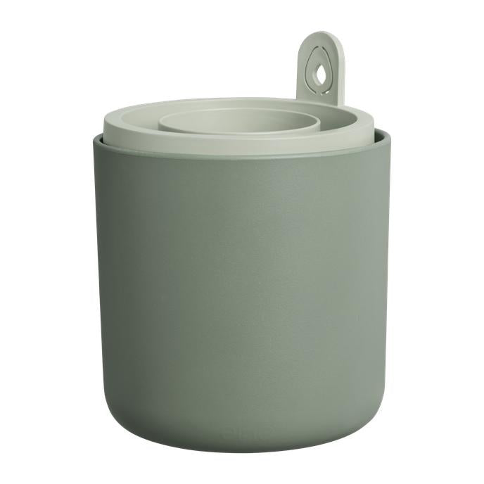 Incrível Abacate Elho Verde Abacate Germinante Pote