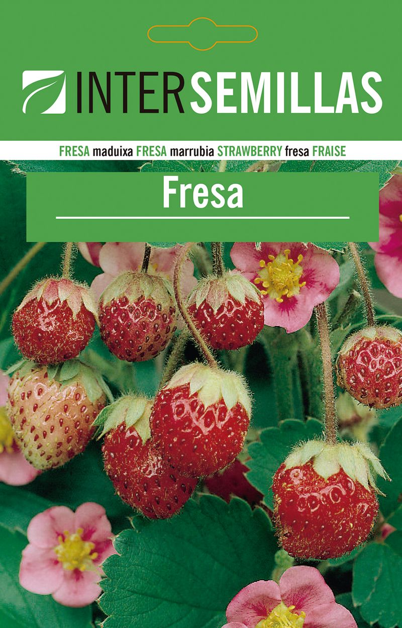 Sobre De Semillas De Fresa_0