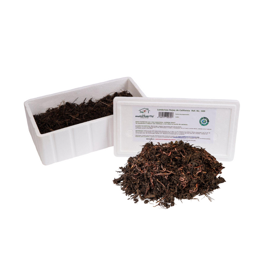 Minhocas vermelhas da Califórnia para vermicomposto Multihuerto