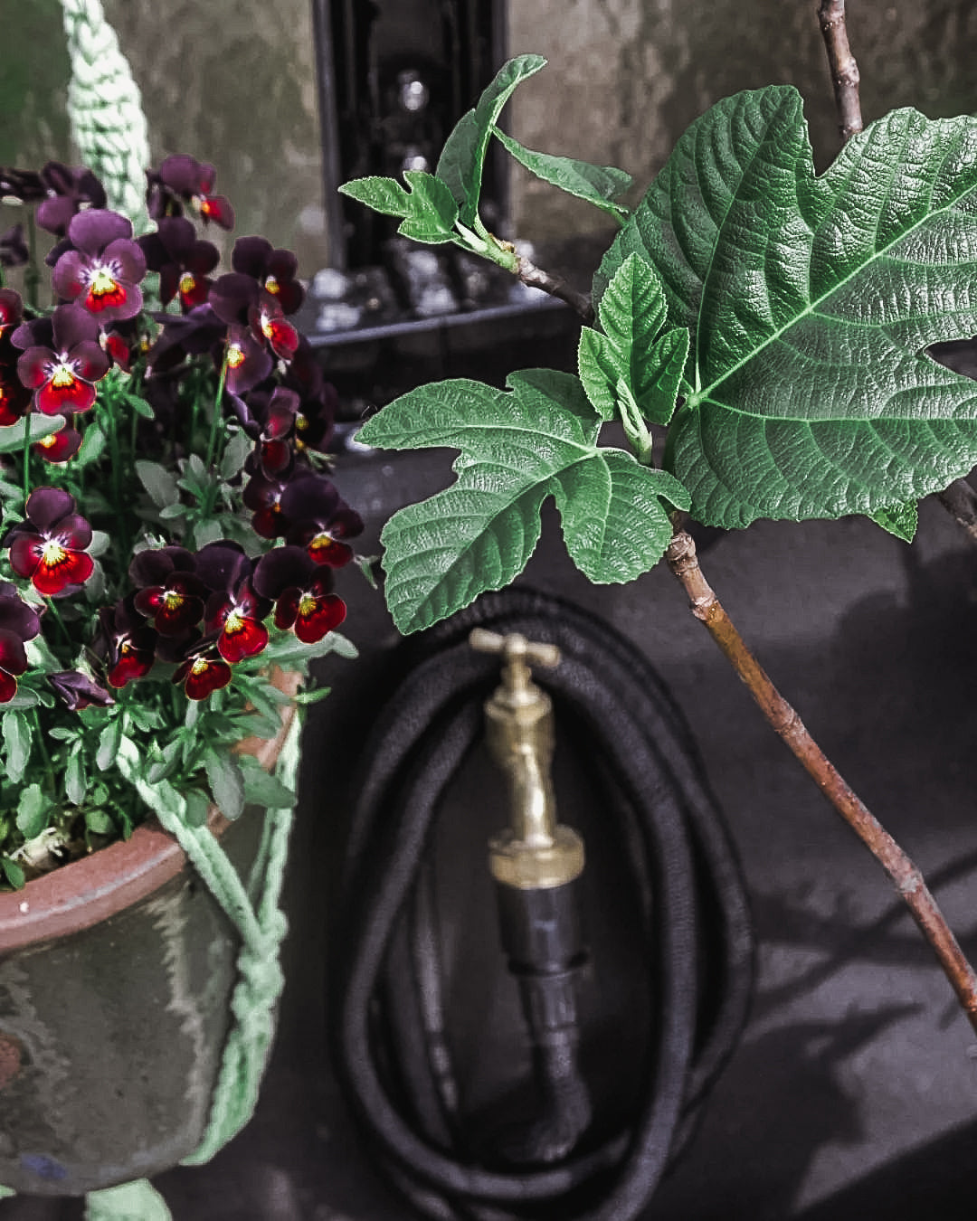 Manguera De Riego Deluxe - Negro, 15 M, Tejido, Látex, Se Expande Con El Agua.