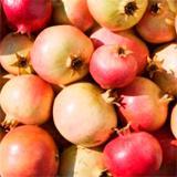 Óleo Corporal de Romã WELEDA 100ml