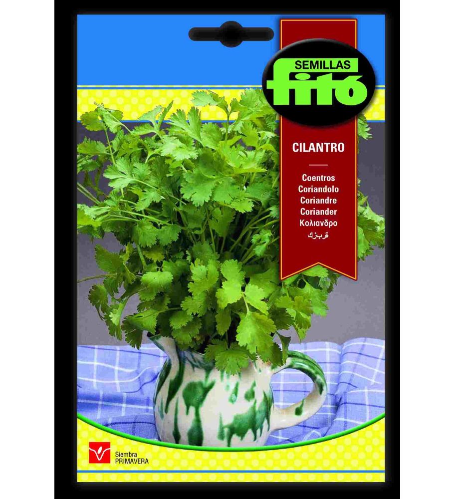 Semilla De Cilantro_0