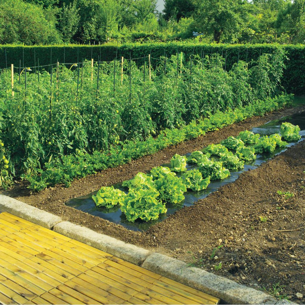 Película de cobertura microperfurada Terrafilm Nortene 1,4 x 10 m