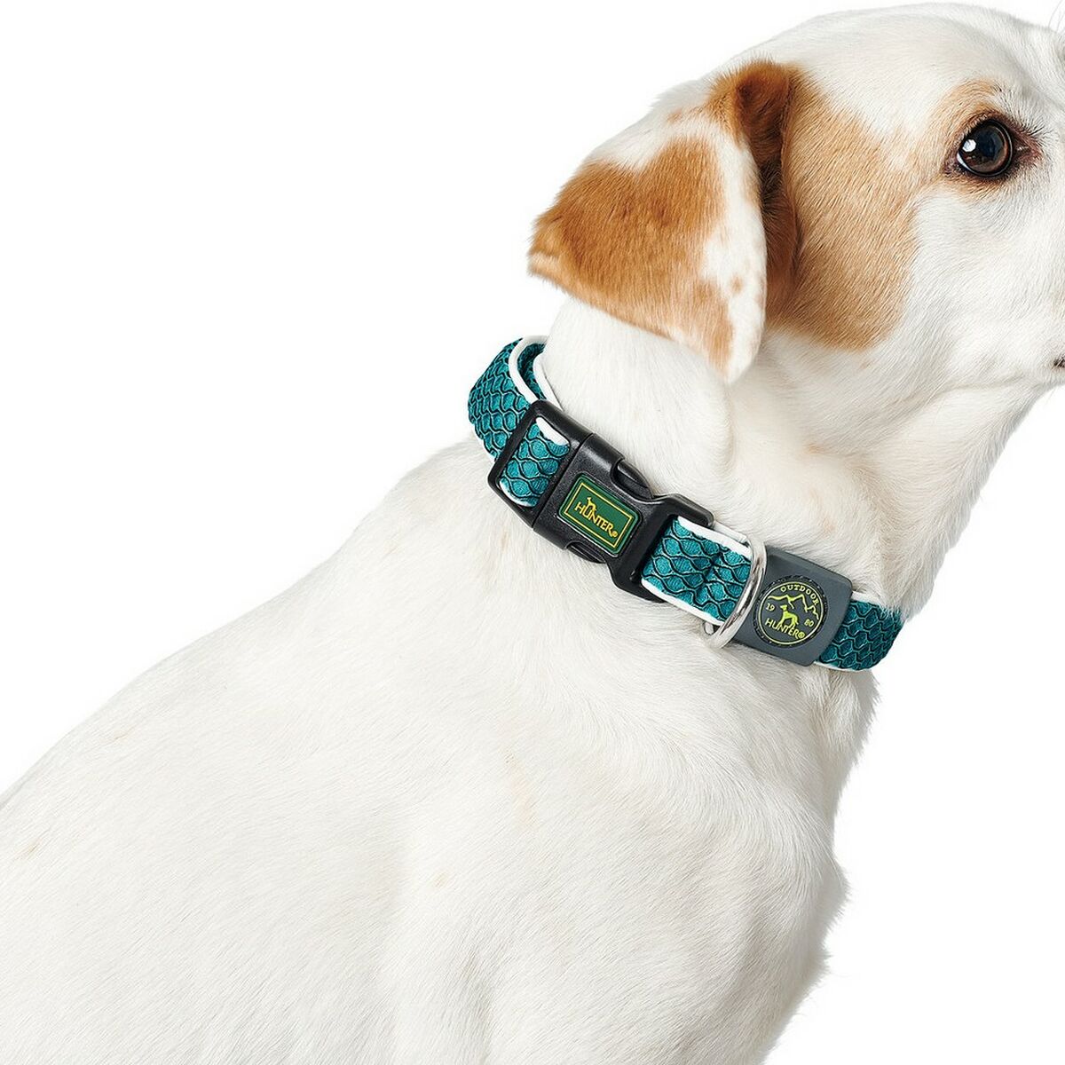 Collar Para Perros Hunter Basic Tema Antracita Talla S (30-43 Cm)_0
