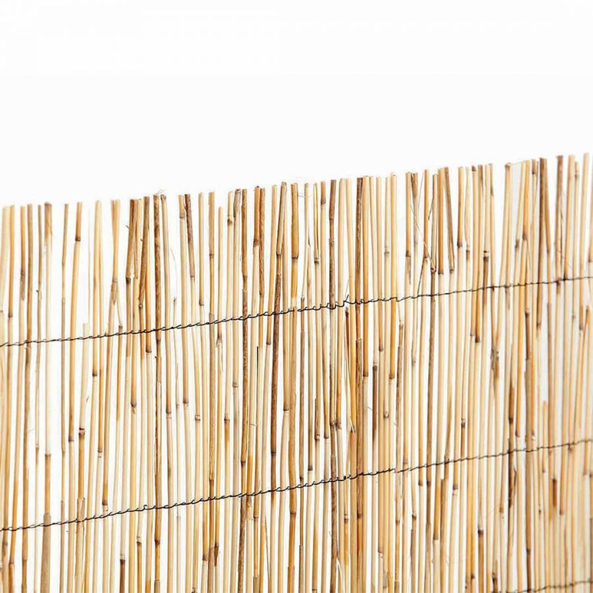 Barreira de bambu descascada fina Reedcane Nortene 1x5
