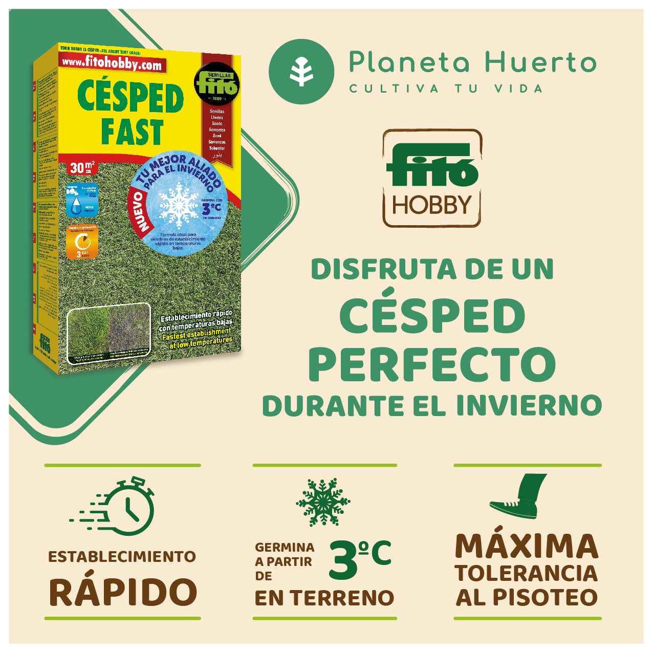 Sementes de Erva Fitó Fast 1 kg