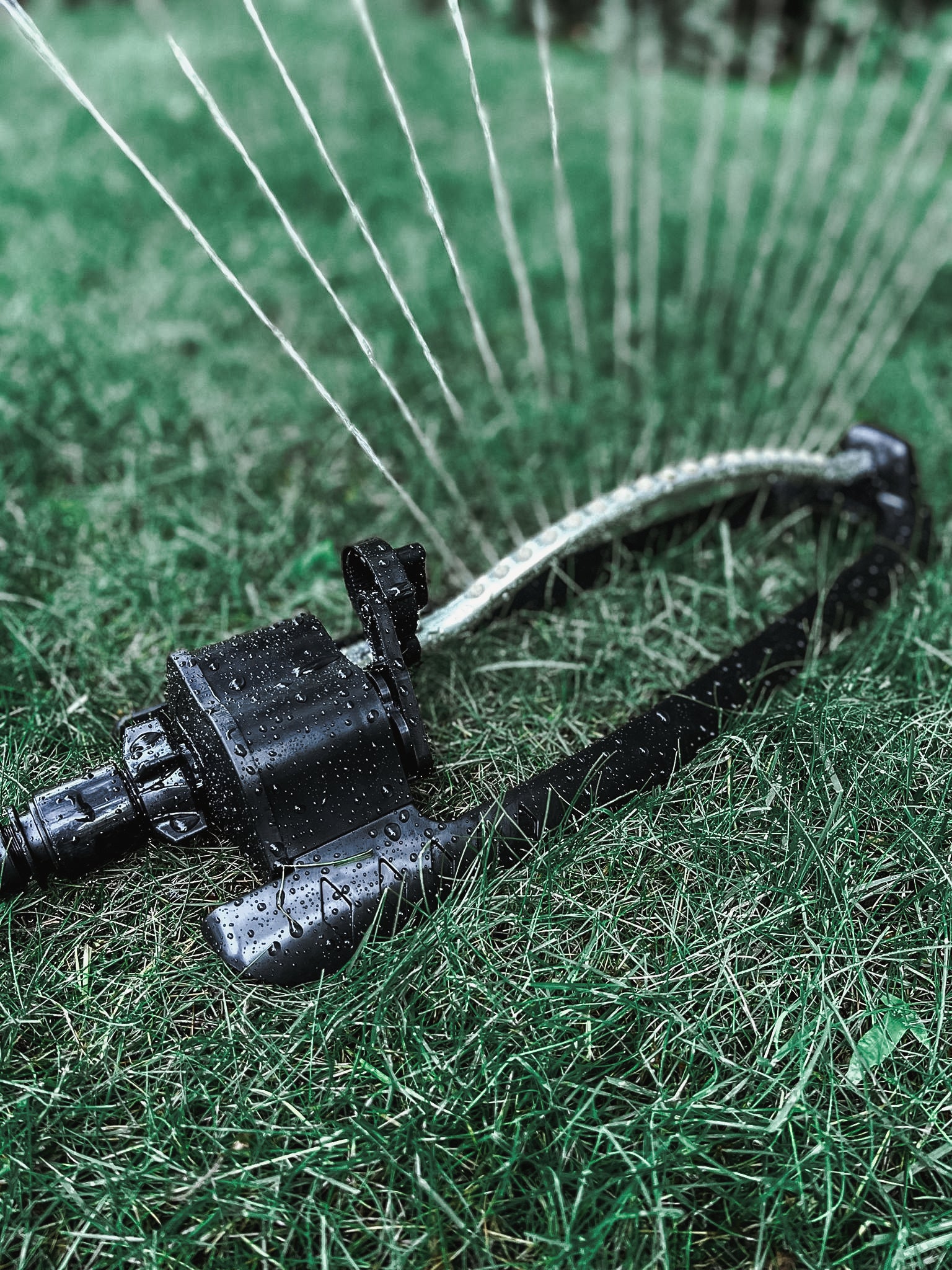 Aspersor - Oscilante, Acero, Plástico, Negro, 47 X 16,5 X 9 Cm