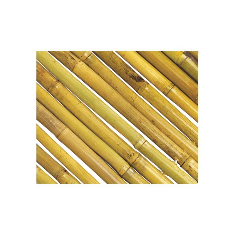 Cana de bambu envernizada natural Bambooflex Nortene 1x3 m (RENOVADA)