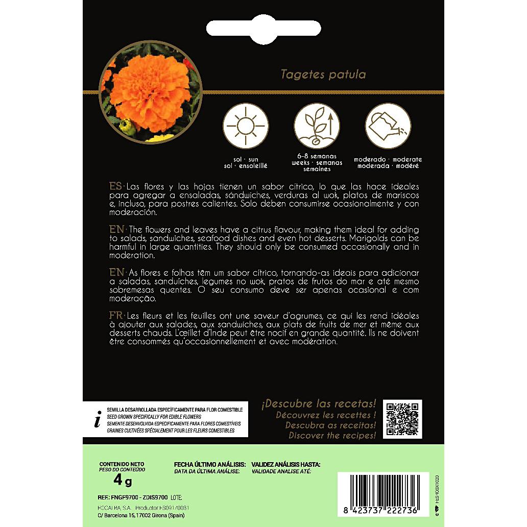 Sementes de flores comestíveis de Tagete Rocalba