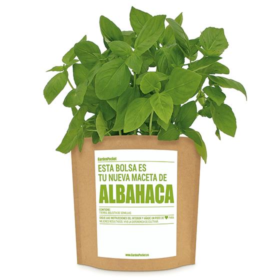 Kit de bolso para jardim de ervas: manjericão