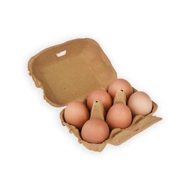 12x Ovos ECO Planeta Huerto