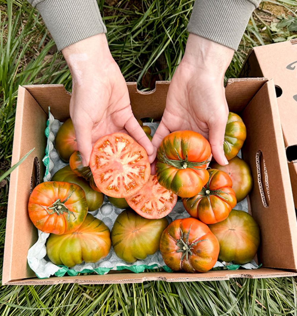 Caja De Tomates Raf De Temporada Tropitop Caja De 3kg_5
