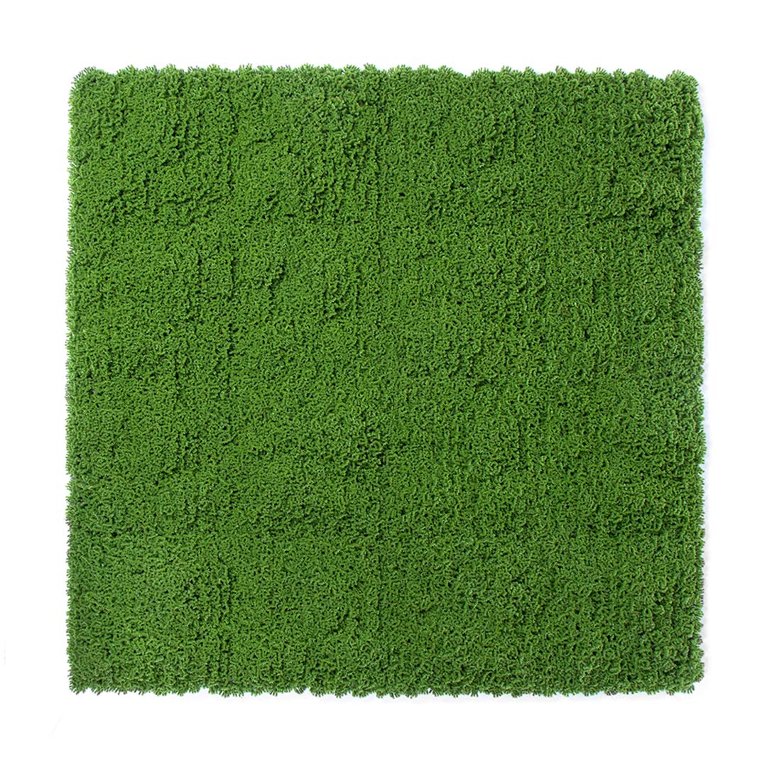 Rollo Jardín Vertical Moss - Decoración Natural Para Tu Hogar 1x1 M / Multicolor_2
