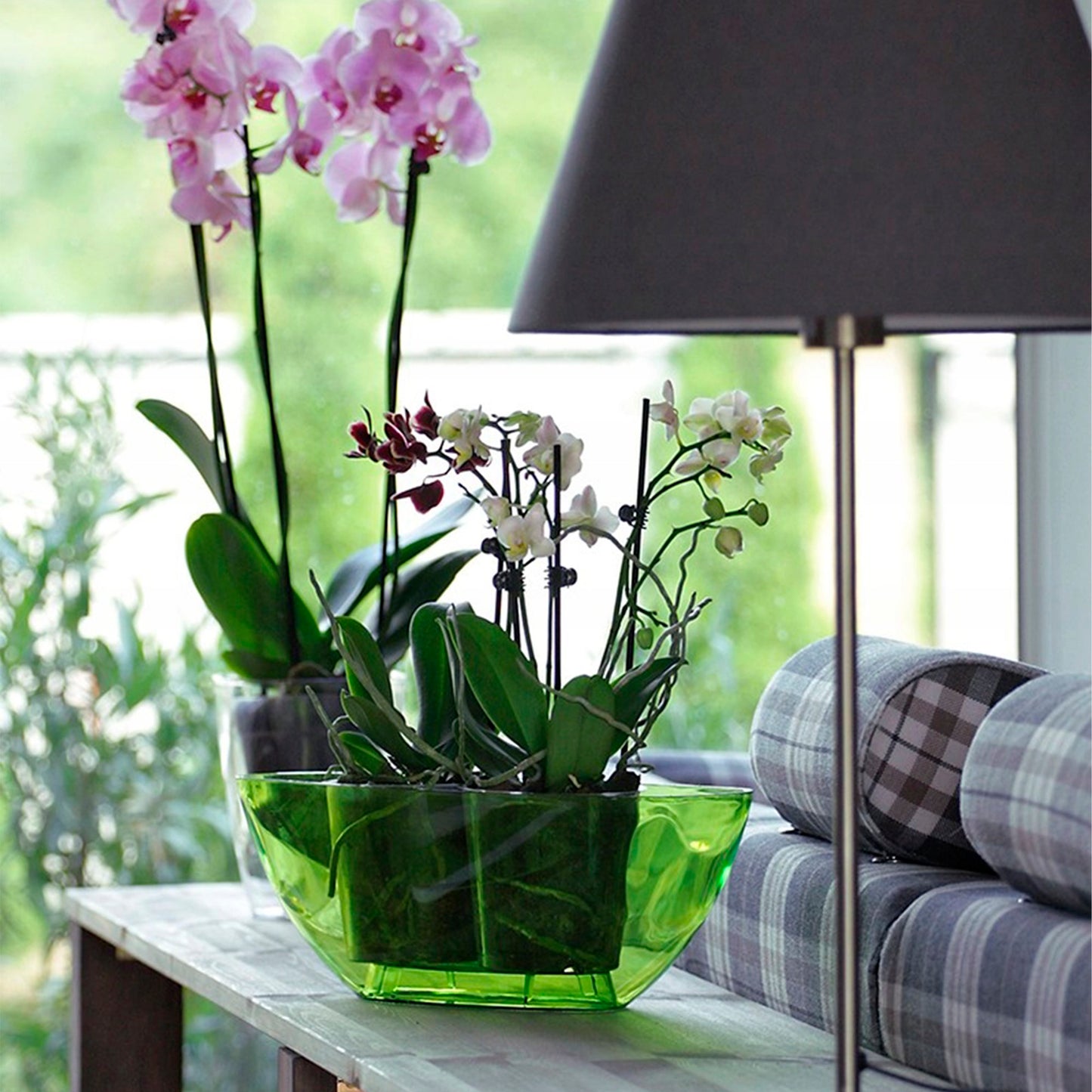 Maceta Coubi Orchid 1l., Dimensiones (mm) 198x130x102, Color Transparente