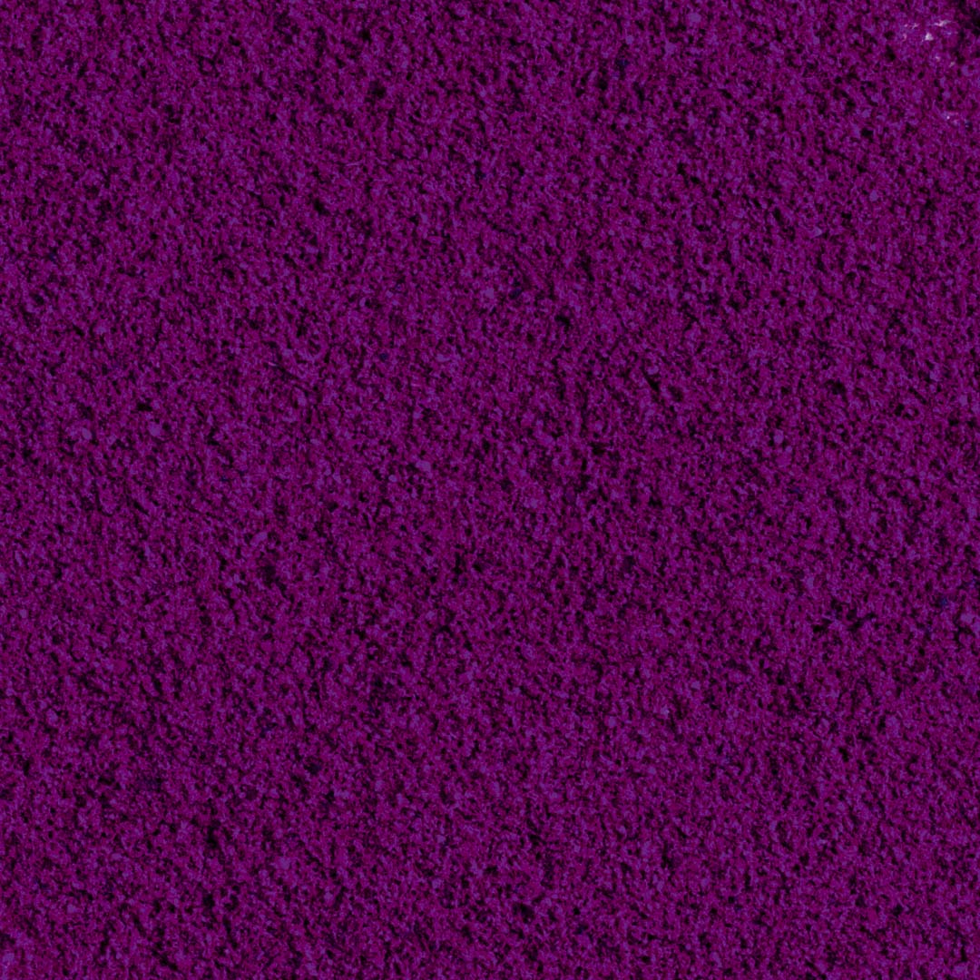 Polvo De Grosella Negra 100% Liofilizada Ecológica - 100g_1