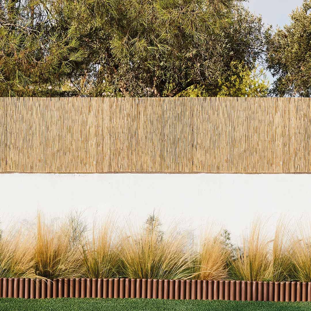 Cañizo Entero Varilla Media - Cañas Naturales Y Ecológicas - 2x5 M - Multicolor_3