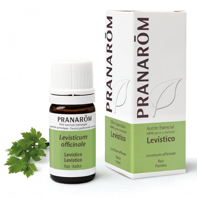 Óleo essencial de pranarom de raiz de Levítico 5 ml