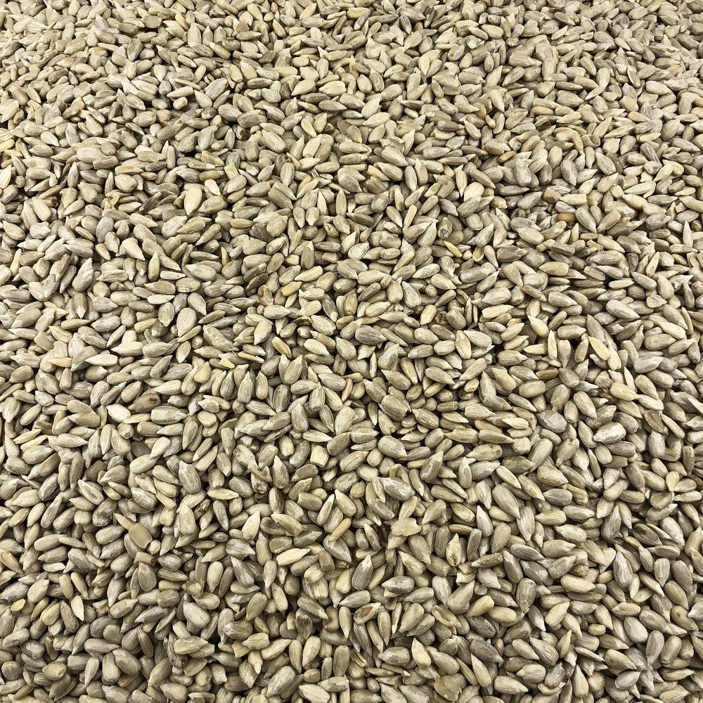 Semillas De Girasol Bio Granel 5 Kg_2