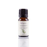 Óleo Essencial de Manjericão (Ocimum Basilicum) Labiatae 12 ml