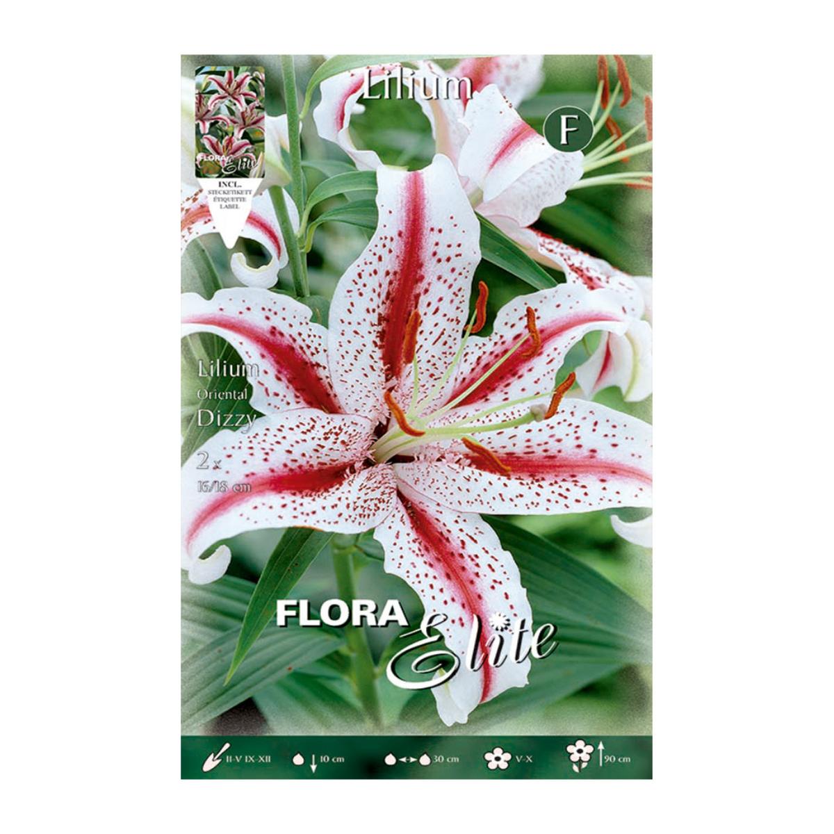 Bulbo de Lilium Oriental Dizzy 2 unidades